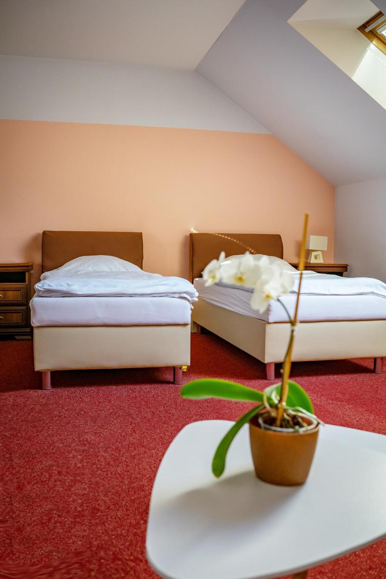 Hotel Ruzek Hranice  Exteriör bild